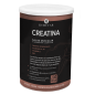 Creatina – 300 g con Vitaminas B1, B6, D y Zinc Creatina – 300 g con Vitaminas B1, B6, D y Zinc