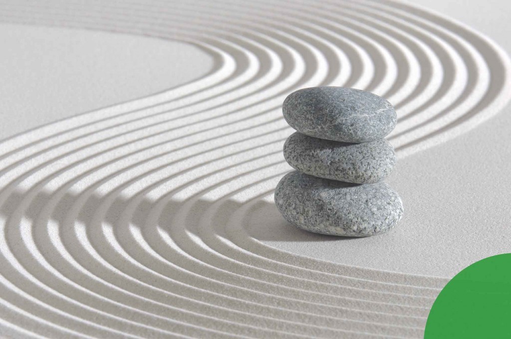 ¿Qué es la homeostasis y por qué es importante para tu salud?