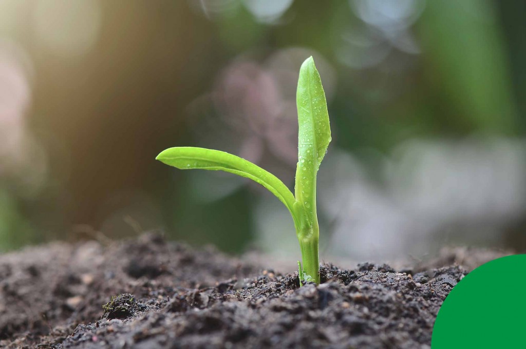 Dimefar incorpora coches híbridos para favorecer la sostenibilidad