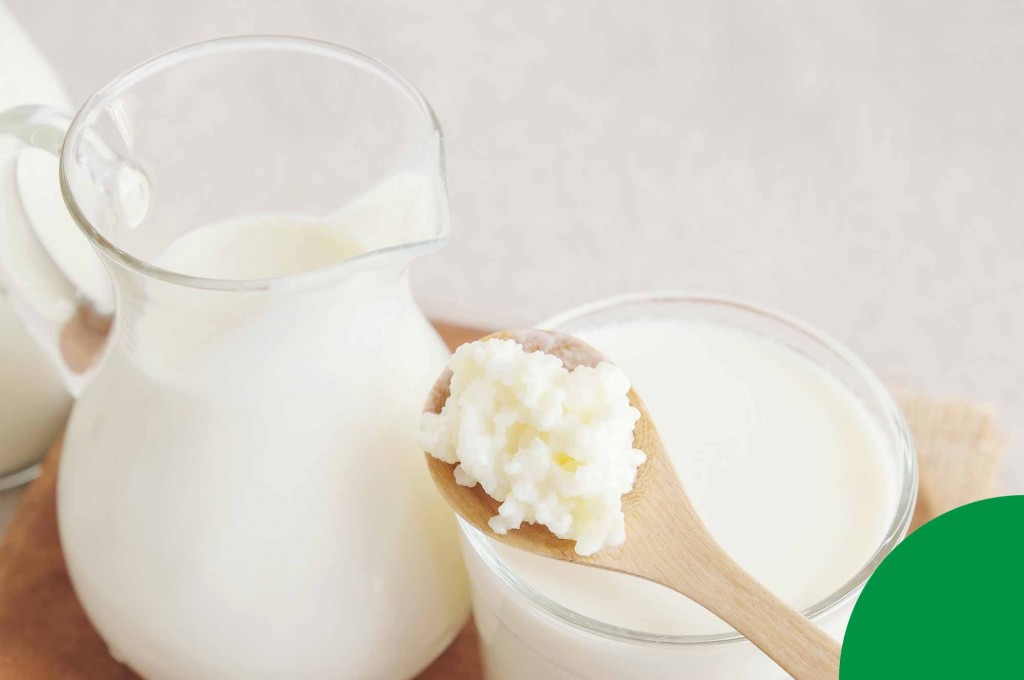 Mantén equilibrada tu flora digestiva: ¿qué regulador intestinal te conviene?