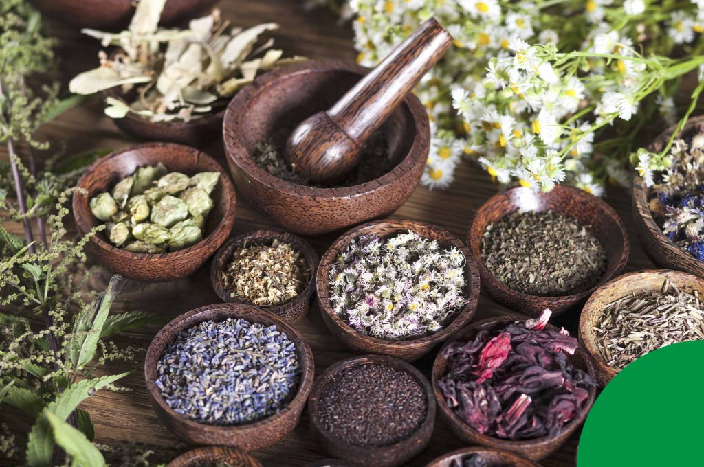 Trementinaires: intrépidas mujeres que vendían remedios naturales a domicilio