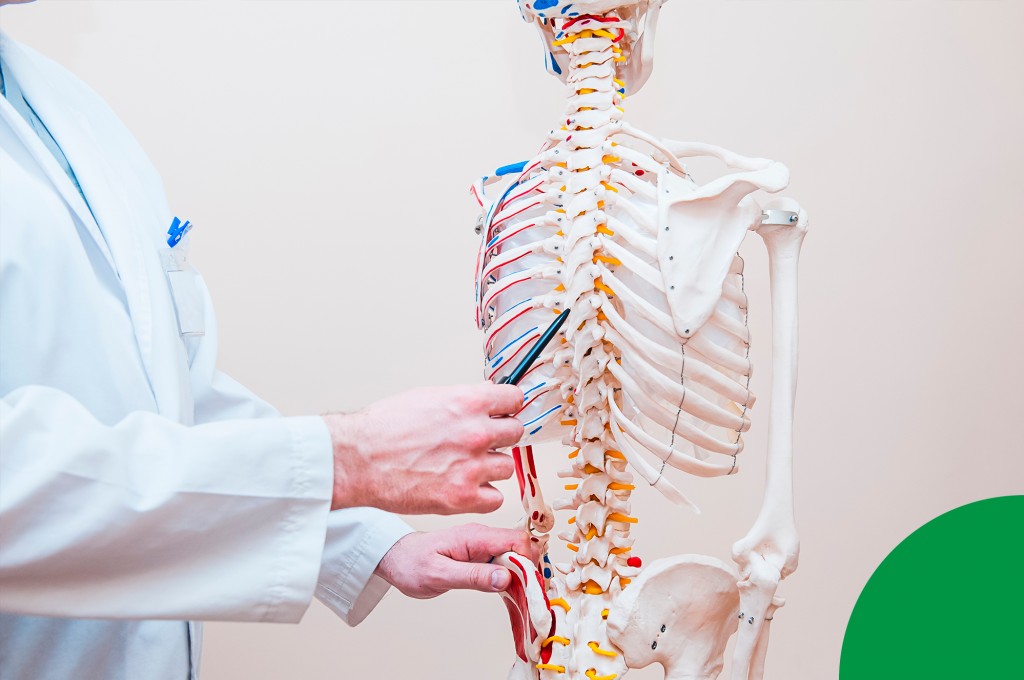 7 curiosidades que te convencerán del inmenso potencial del cuerpo humano