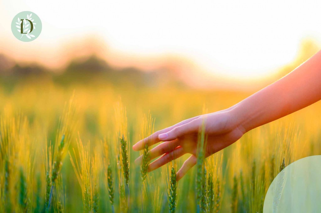 La naturaleza nos inspira para renovar nuestra gama de complementos alimenticios