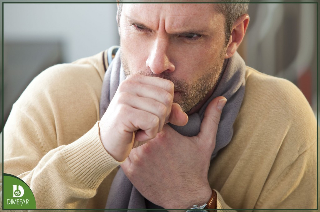 8 plantas tradicionales para calmar la tos