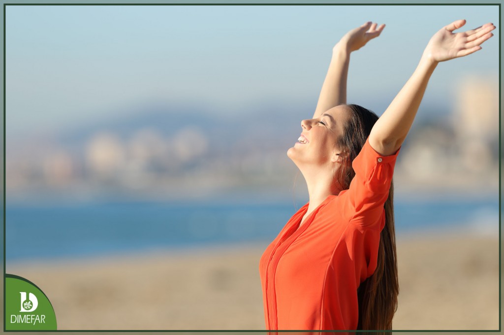 Equinácea y reishi para proteger tu sistema inmunitario