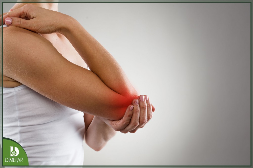 Un estudio confirma la eficacia de Ovomet para proteger las articulaciones