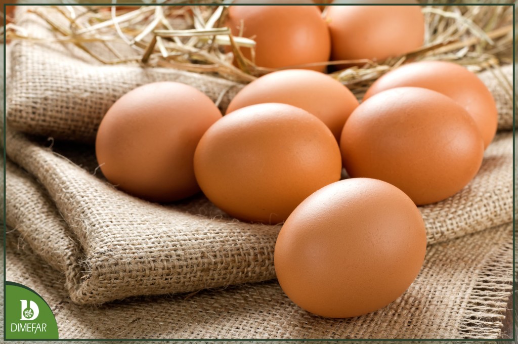 ¿El huevo aumenta los niveles de colesterol?