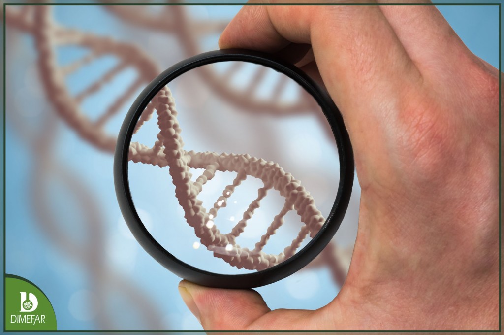 ¿Qué es la Hipercolesterolemia Familiar?